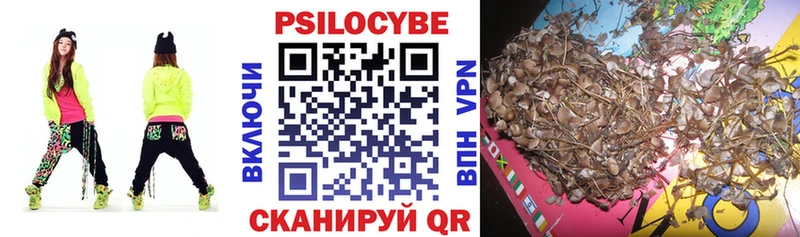 что такое наркотик  Искитим  Псилоцибиновые грибы Psilocybe 
